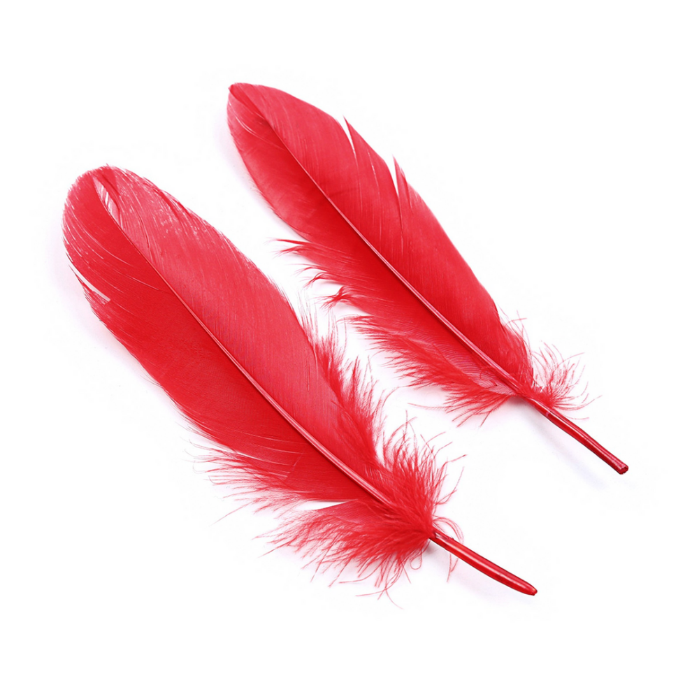 Lover's Dream - 4-delige Bondage Kit voor Beginners - Rood